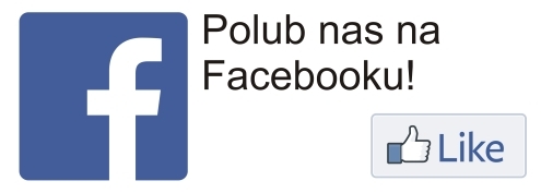 polub nas500 1