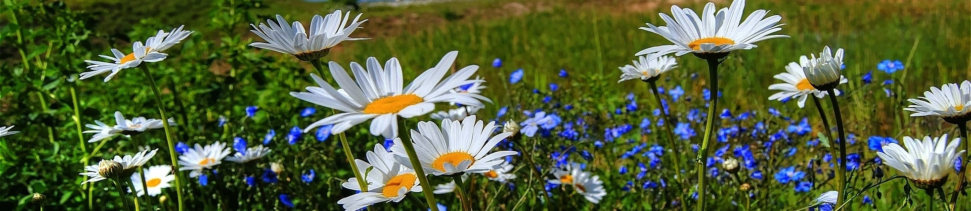 foto2
